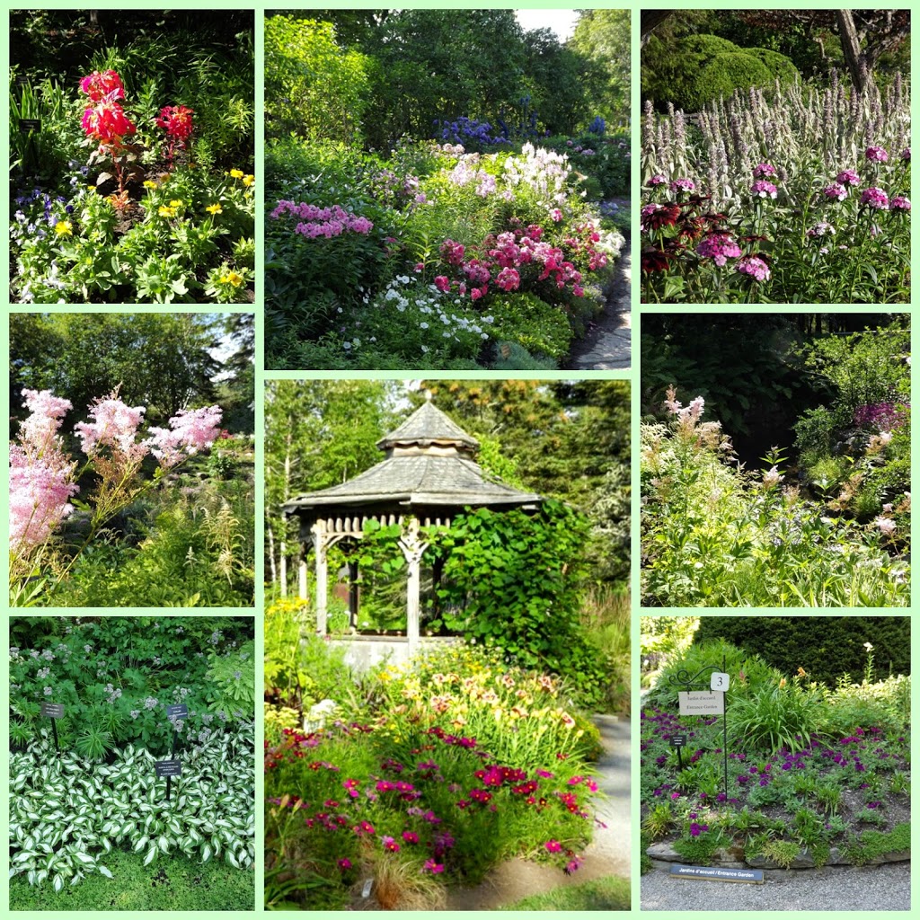 Les jardins de métis: un giardino fiorito in québec » bussoladiario Creativo Giardino Fiorito