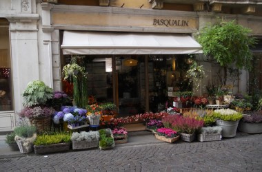 A Vicenza nascono fiori