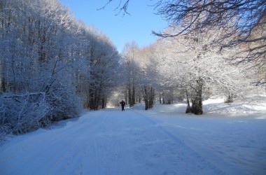 Parco Nazionale d’Abruzzo: neve, natura e sci (parte I)