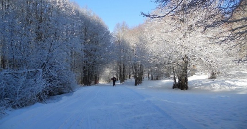 Parco Nazionale d’Abruzzo: neve, natura e sci (parte I)