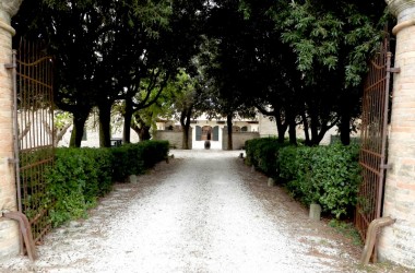 Fattoria di Forano: giovani viticoltori e ottimi vini