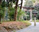I contrasti di Tokyo: lo shopping di Harajuku ed il Santuario Meiji Jingu