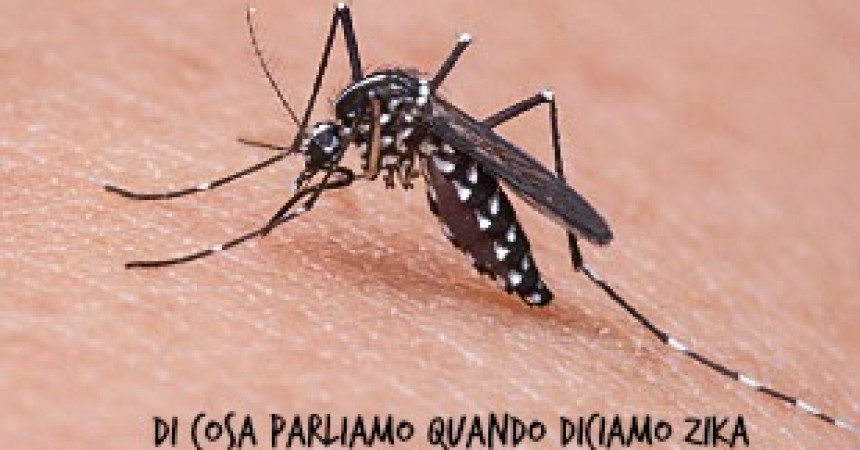 Cosa è la Zika, come difendersi
