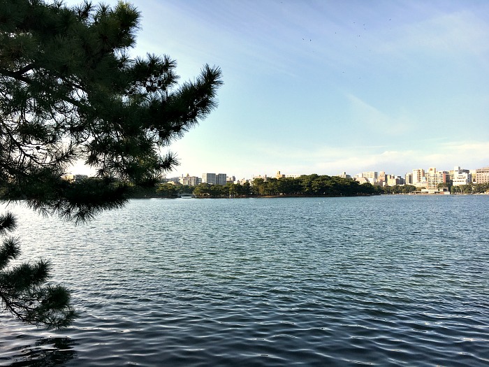 Il Parco ed il lago Ohori di Fukuoka - vista dalla sponda sud