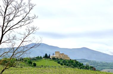 Itinerario sul Monte Amiata tra le province di Siena e Grosseto