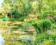 Tante informazioni per visitare Giverny e la casa di Monet