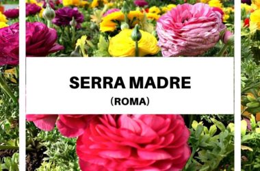 Serra Madre a Roma: l’agricoltura a centimetro zero