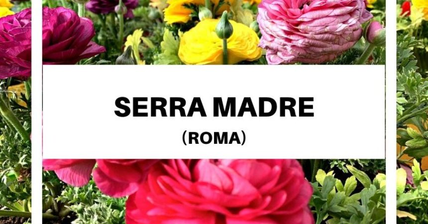 Serra Madre a Roma: l’agricoltura a centimetro zero